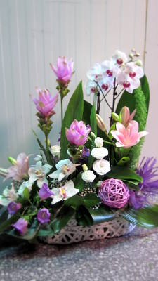 Cesta con planta phalaenopsis y flores a tono_flores lantana