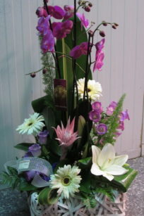 cesta vertical orquidea y flores moradas_flores lantana