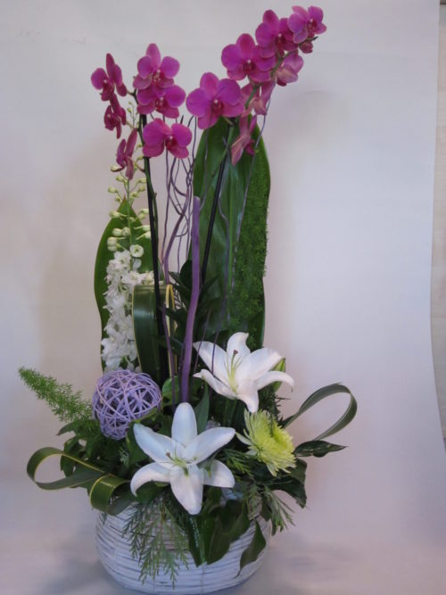 combi orquidea con flor_flores lantana