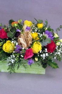 caja flor multicolor_flores lantana