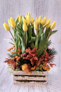 Paralelo tulipanes_flores lantana