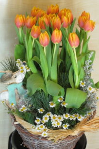 cesta de tulipanes 20 uds_flores lantana