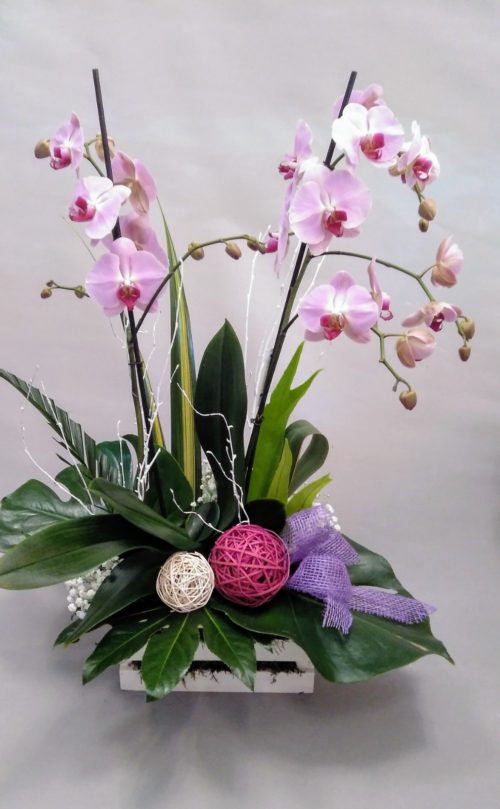 orquidea +verdes con decoracion en seco_flores lantana